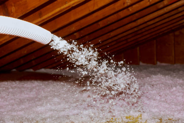 Best Basement Insulation  in Waretown, NJ